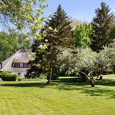 Reetdachhaus Nahe Der Ostsee Mit Sauna Und Garten *