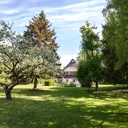 Reetdachhaus Nahe Der Ostsee Mit Sauna Und Garten Prázdninový dům *