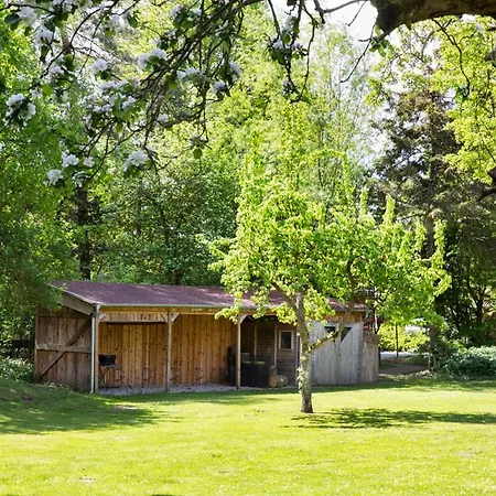Reetdachhaus Nahe Der Ostsee Mit Sauna Und Garten Prázdninový dům Manhagen