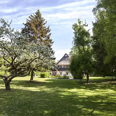 Reetdachhaus Nahe Der Ostsee Mit Sauna Und Garten * Manhagen