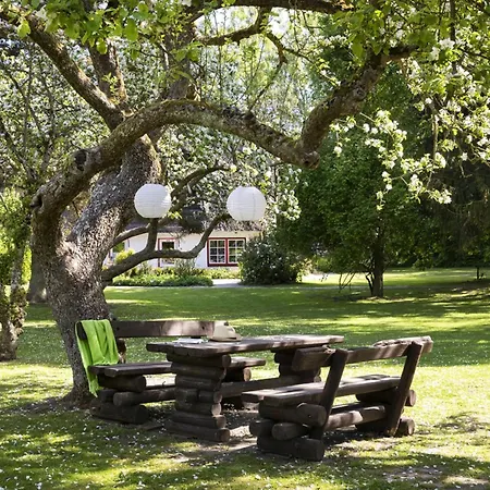 Reetdachhaus Nahe Der Ostsee Mit Sauna Und Garten *