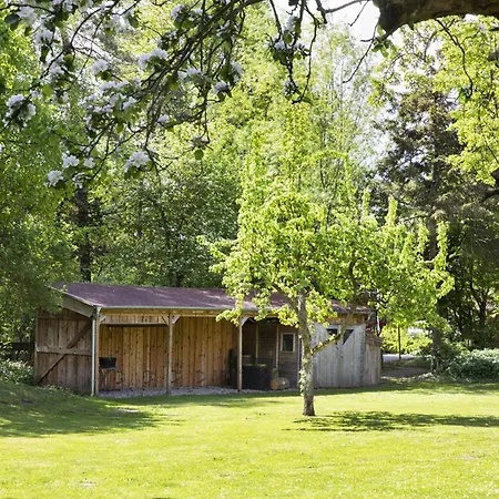 Reetdachhaus Nahe Der Ostsee Mit Sauna Und Garten *