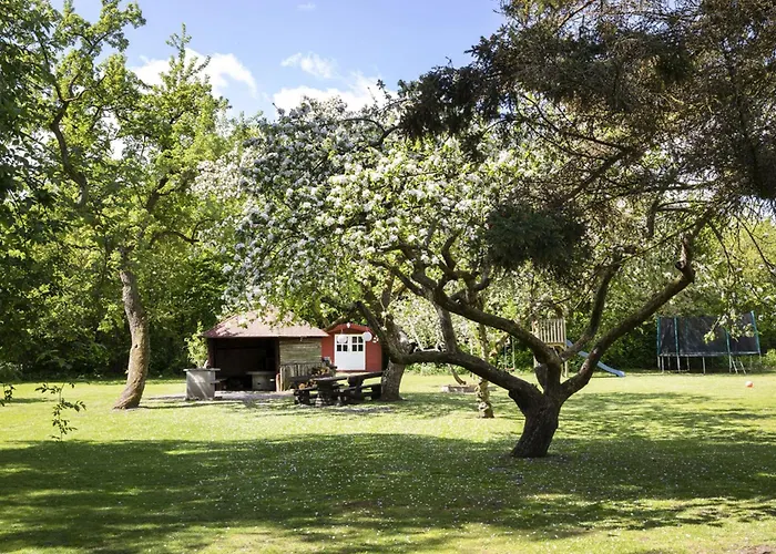 Reetdachhaus Nahe Der Ostsee Mit Sauna Und Garten * Manhagen